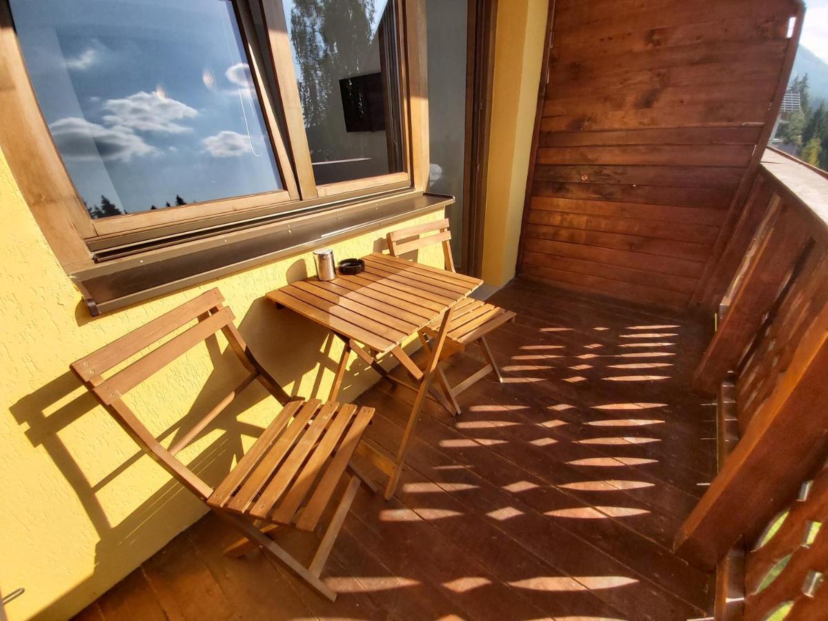 Studio Montana Poiana Brașov Exterior foto