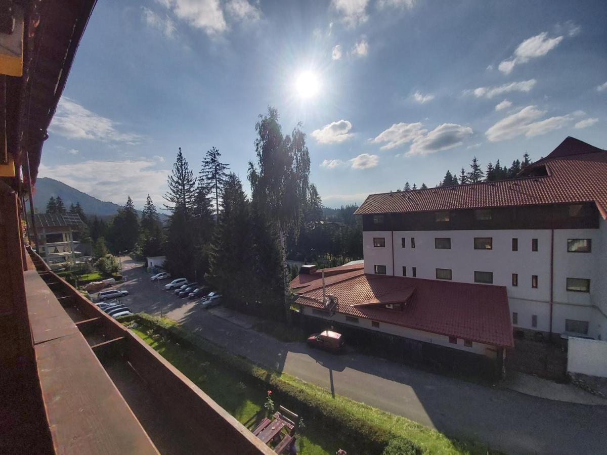 Studio Montana Poiana Brașov Exterior foto