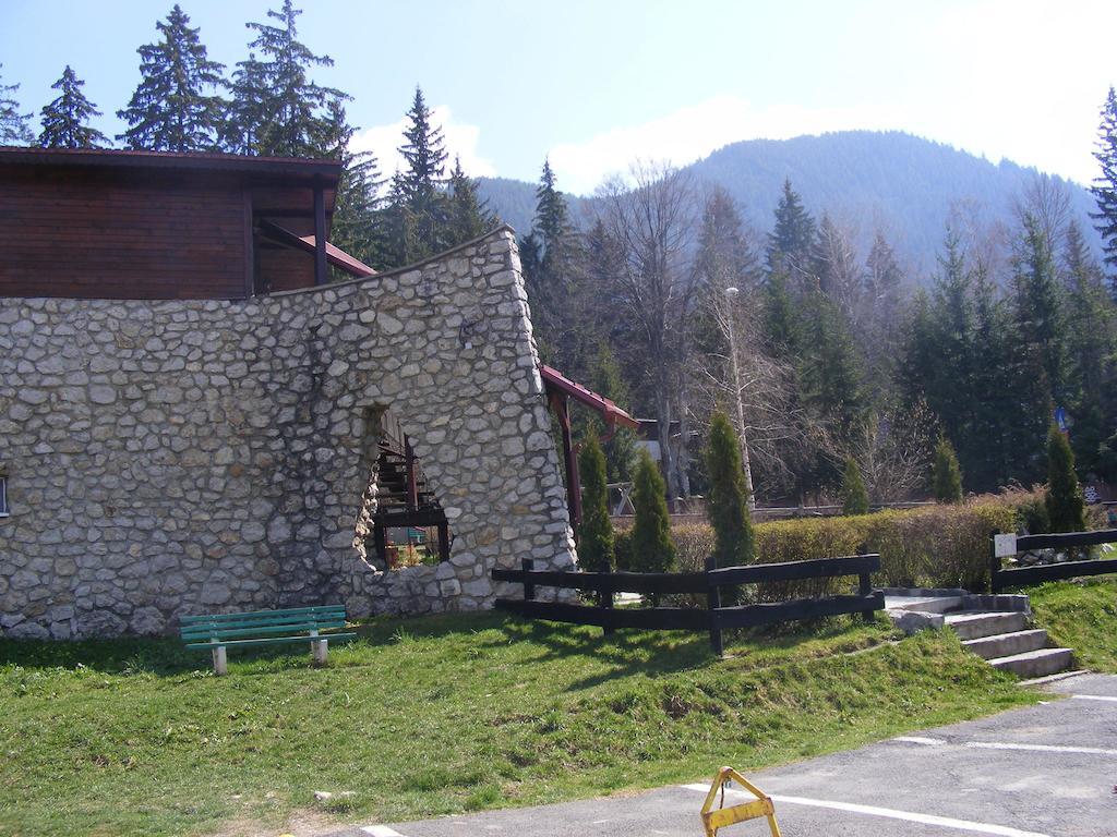 Studio Montana Poiana Brașov Exterior foto