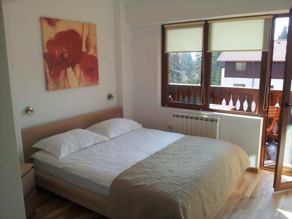 Studio Montana Poiana Brașov Exterior foto